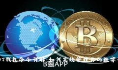 USDT钱包命令详解：如何高