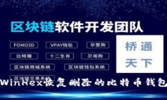 使用WinHex恢复删除的比特