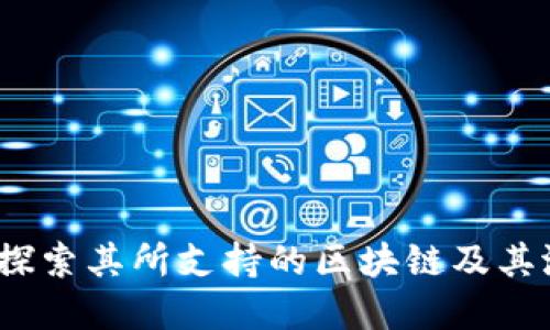 TP钱包：探索其所支持的区块链及其潜在应用