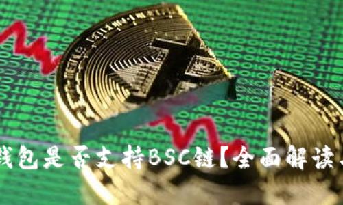 电脑版TP钱包是否支持BSC链？全面解读与使用指南