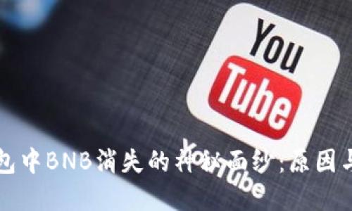 揭开TP钱包中BNB消失的神秘面纱：原因与解决方案