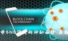 揭开TP钱包中BNB消失的神秘