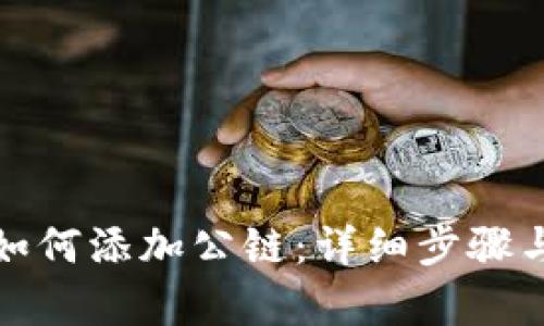 : tp钱包如何添加公链：详细步骤与实用指南