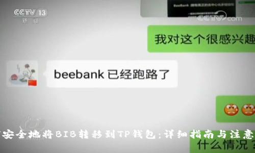 如何安全地将BIB转移到TP钱包：详细指南与注意事项