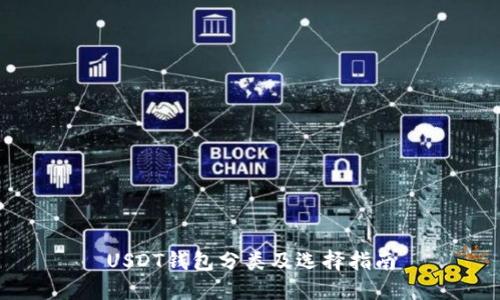 USDT钱包分类及选择指南