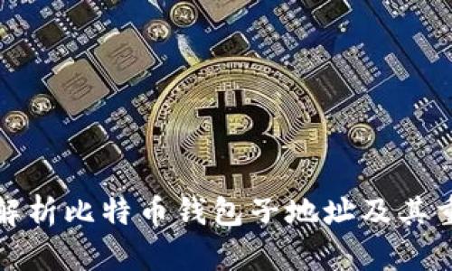 全面解析比特币钱包子地址及其重要性