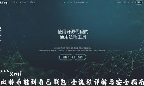 
```xml
比特币转到自己钱包：全流程详解与安全指南