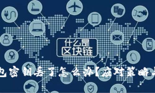 区块链钱包密钥丢了怎么办？应对策略与恢复指南