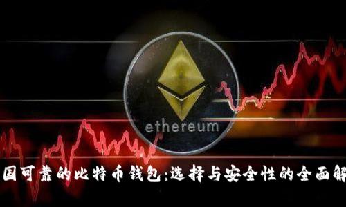中国可靠的比特币钱包：选择与安全性的全面解析