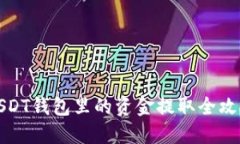 USDT钱包里的资金提取全攻