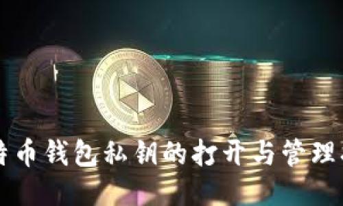 比特币钱包私钥的打开与管理指南