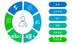 TP钱包电脑端BSC无法导入的解决方案与常见问题分