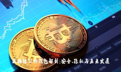 区块链公共钱包解析：安全、隐私与未来发展