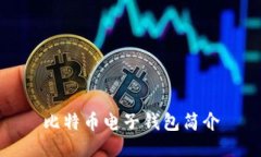 比特币电子钱包简介