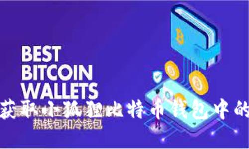 如何获取小狐狸比特币钱包中的资金