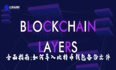 全面指南：如何导入比特