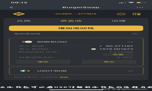 什么冷钱包可以存USDT？解析冷钱包的选择与推荐