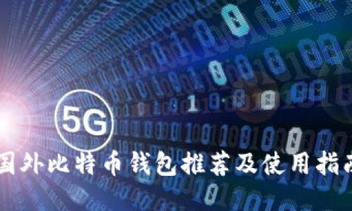 国外比特币钱包推荐及使用指南