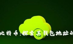 马斯克与比特币：探索其