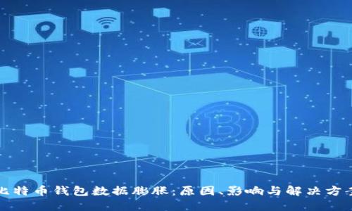 比特币钱包数据膨胀：原因、影响与解决方案