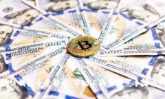 区块链钱包全景解析：市