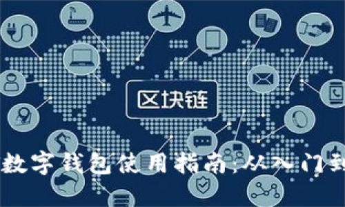 USDT数字钱包使用指南：从入门到精通