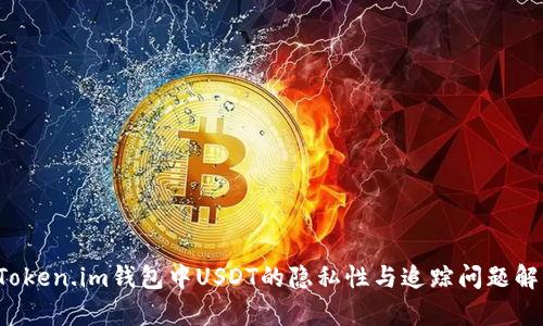  Token.im钱包中USDT的隐私性与追踪问题解析
