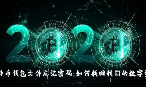 比特币钱包文件忘记密码：如何找回我们的数字资产
