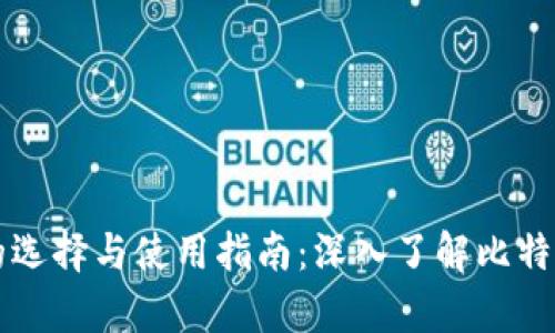 比特币钱包的选择与使用指南：深入了解比特币的存储方式