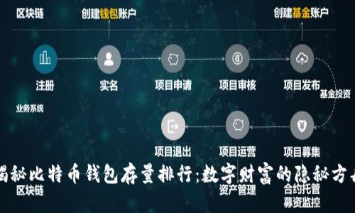 揭秘比特币钱包存量排行：数字财富的隐秘方舟