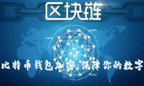 探秘早期比特币钱包加密：保障你的数字财富之路
