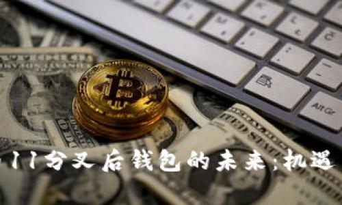 探索比特币11分叉后钱包的未来：机遇与挑战并存