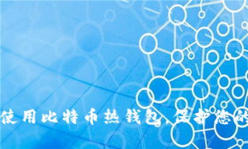 如何有效使用比特币热钱包，保护您的数字资产