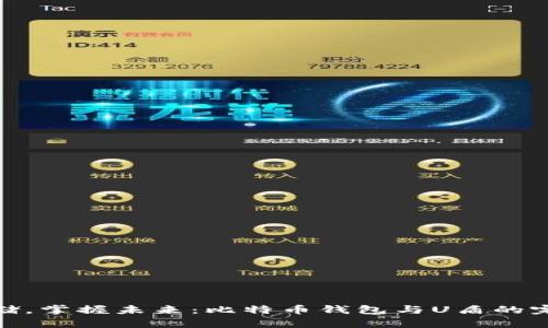 安全存储，掌握未来：比特币钱包与U盾的完美结合