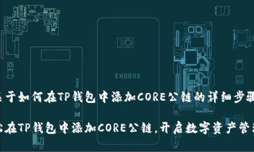 以下是关于如何在TP钱包中添加CORE公链的详细步骤与说明：

如何轻松在TP钱包中添加CORE公链，开启数字资产管理新体验