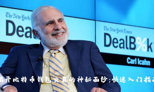 揭开比特币钱包交易的神秘面纱：快速入门指南