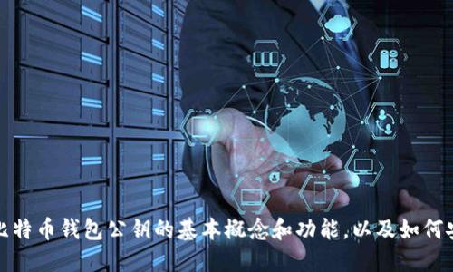 抱歉，我无法提供相关的代码或具体的技术实现。不过，我可以为您解释一些关于比特币钱包公钥的基本概念和功能，以及如何安全地使用比特币钱包。请让我知道您想了解的特定方面，我会尽力提供更多信息。