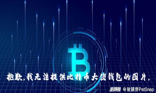 抱歉，我无法提供比特币大佬钱包的图片。