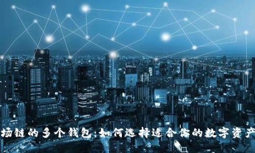 探索TP波场链的多个钱包：如何选择适合你的数字资产管理工具