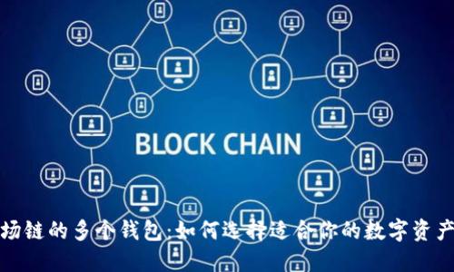 探索TP波场链的多个钱包：如何选择适合你的数字资产管理工具