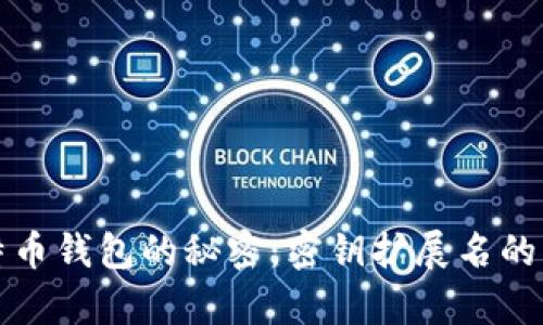 揭开比特币钱包的秘密：密钥扩展名的深度解析