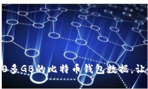 如何有效管理200多GB的比特币钱包数据，让你的投资更轻松！