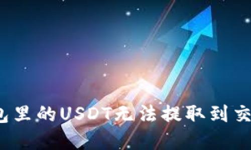 如何解决钱包里的USDT无法提取到交易所的问题？