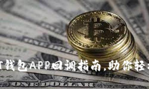 快速安全的USDT钱包APP回调指南，助你轻松管理数字资产！