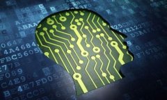 为何TP钱包中的狗狗币价格