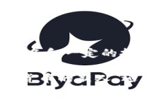 关于“TP钱包公钥没有账号