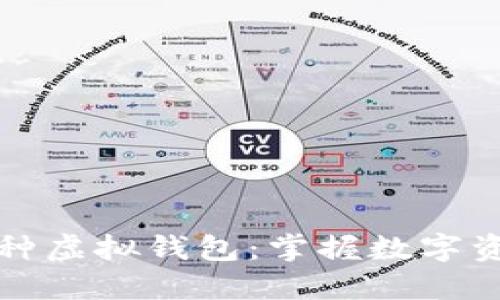 探索多币种虚拟钱包：掌握数字资产的未来