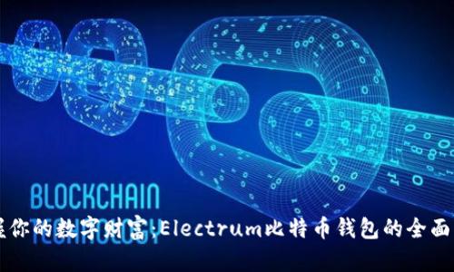 掌握你的数字财富：Electrum比特币钱包的全面指南