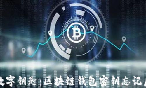 
重拾遗失的数字钥匙：区块链钱包密钥忘记后的应对策略