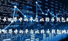 : 加密货币世界中的平台比